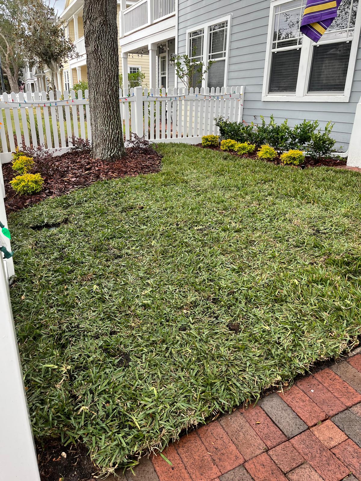 Freshly mowed lawn