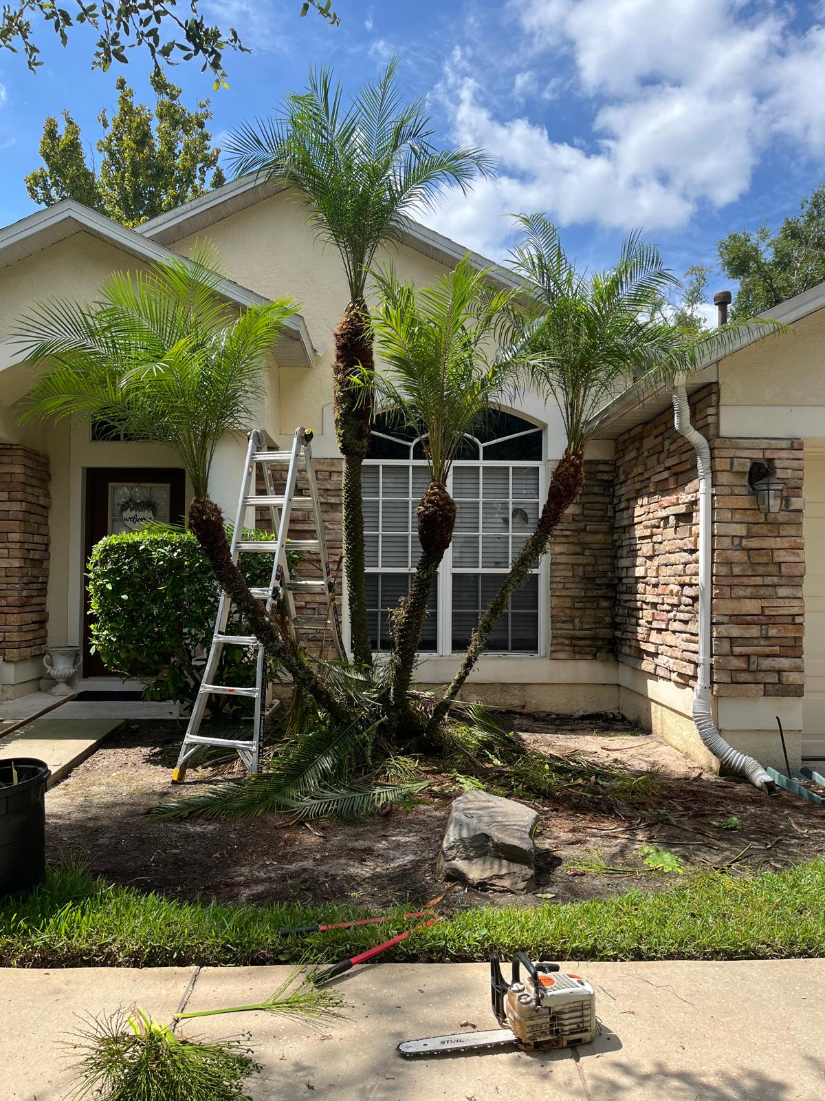 Residential landscaping
