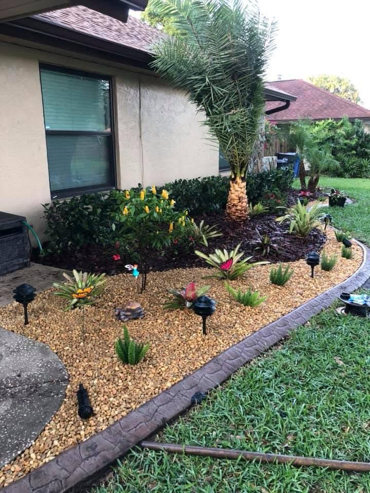 Green lawn and plants